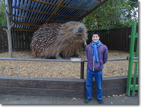 Satoshi & Hedgehog