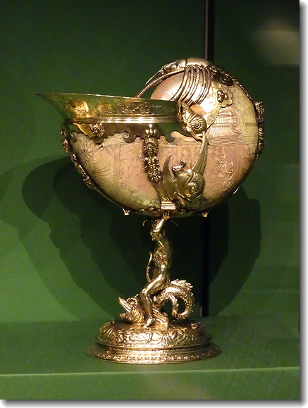 nautilus cup