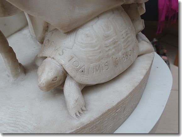 tortoise