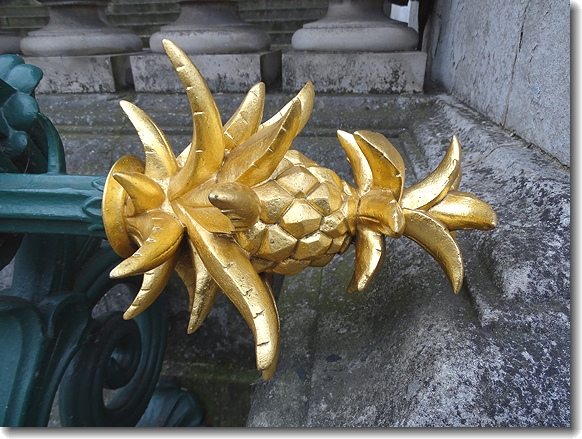 pineapple
